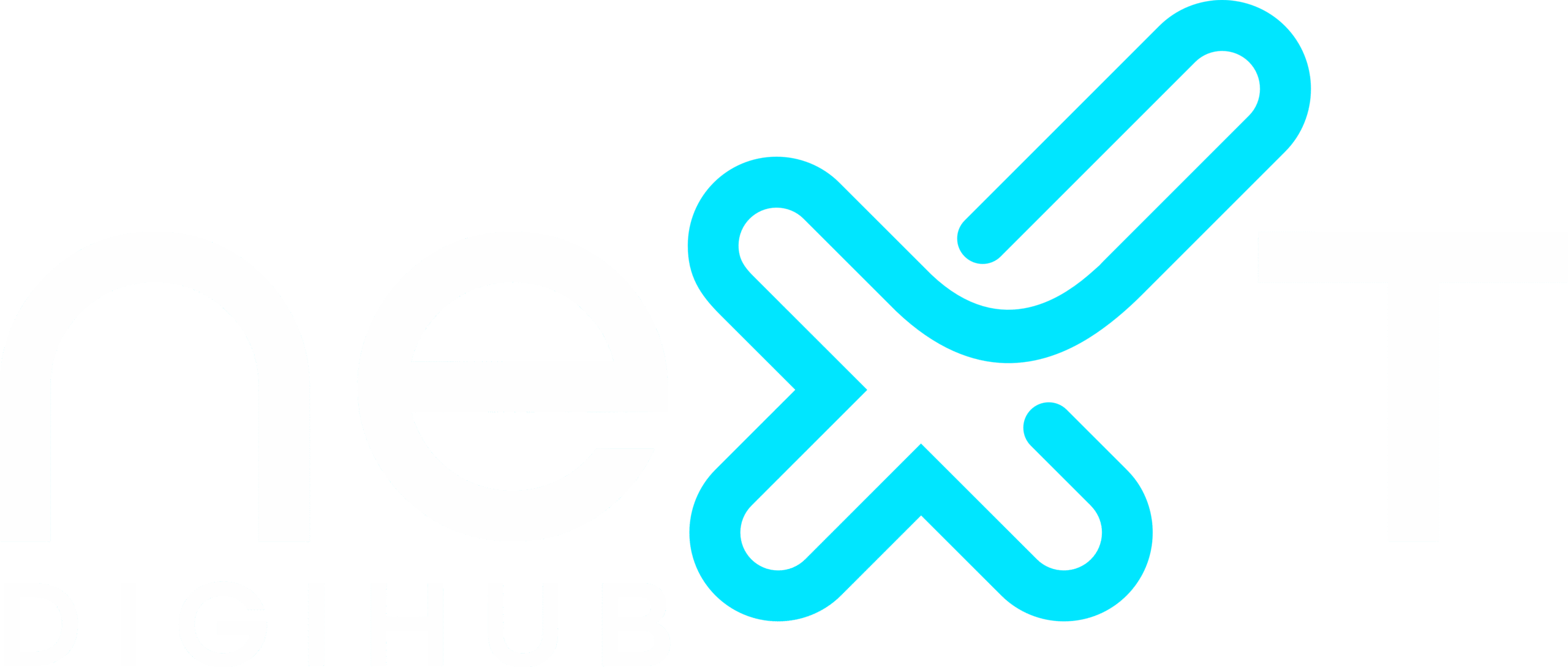 NEXT DIGIHUB LOGO